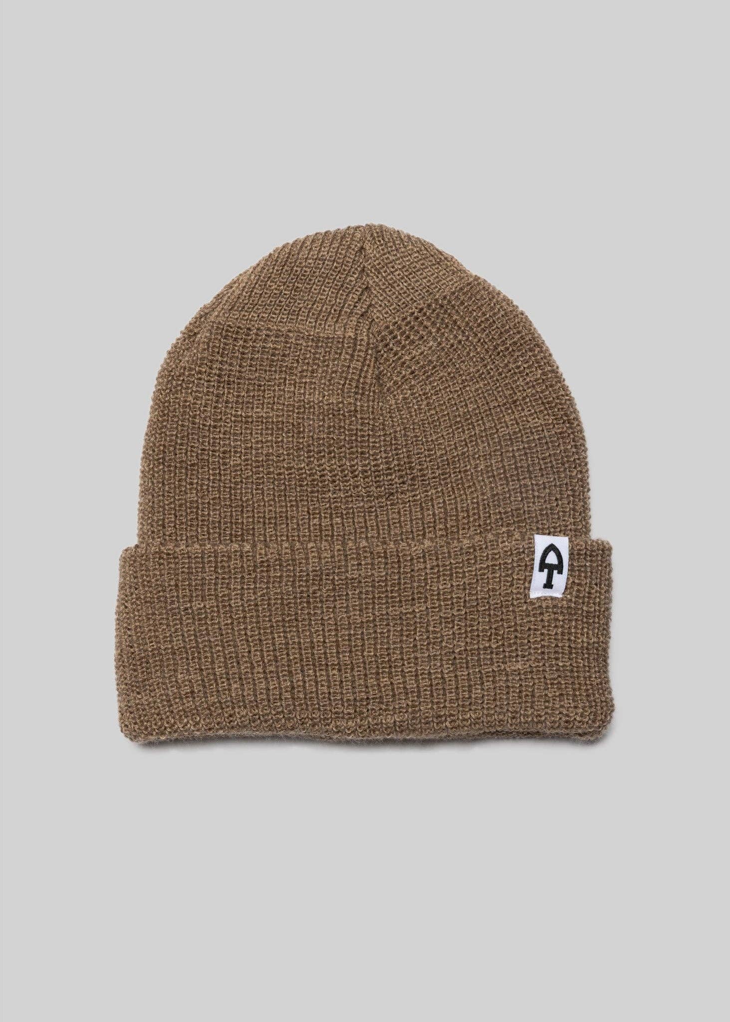 Snail Winter Favorites