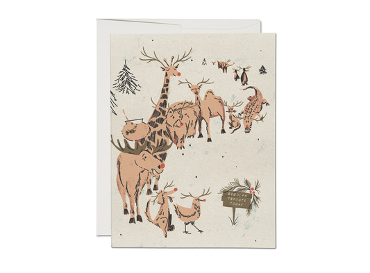 Rudolph Auditions Holiday Greeting Card Boxed Set