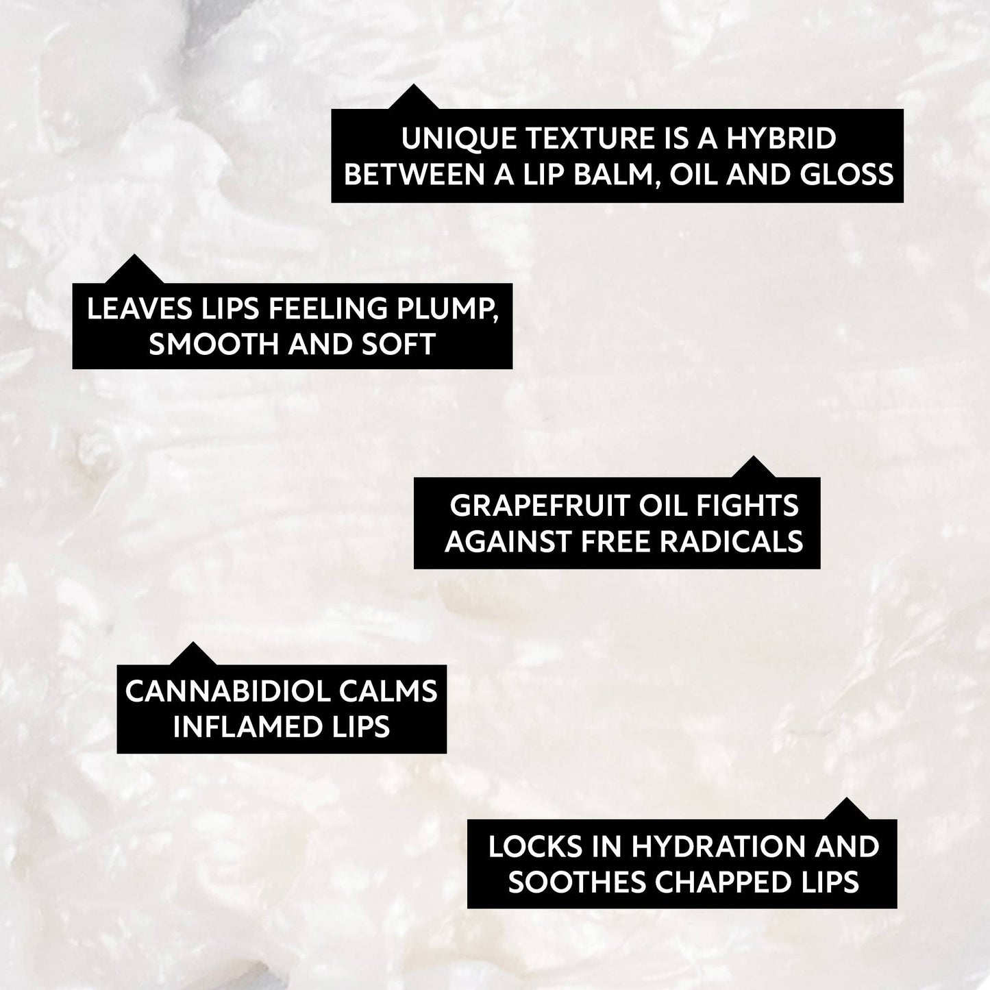 Natural Vegan Lip Balm Festive Holidays Bauble Eco Gift Set