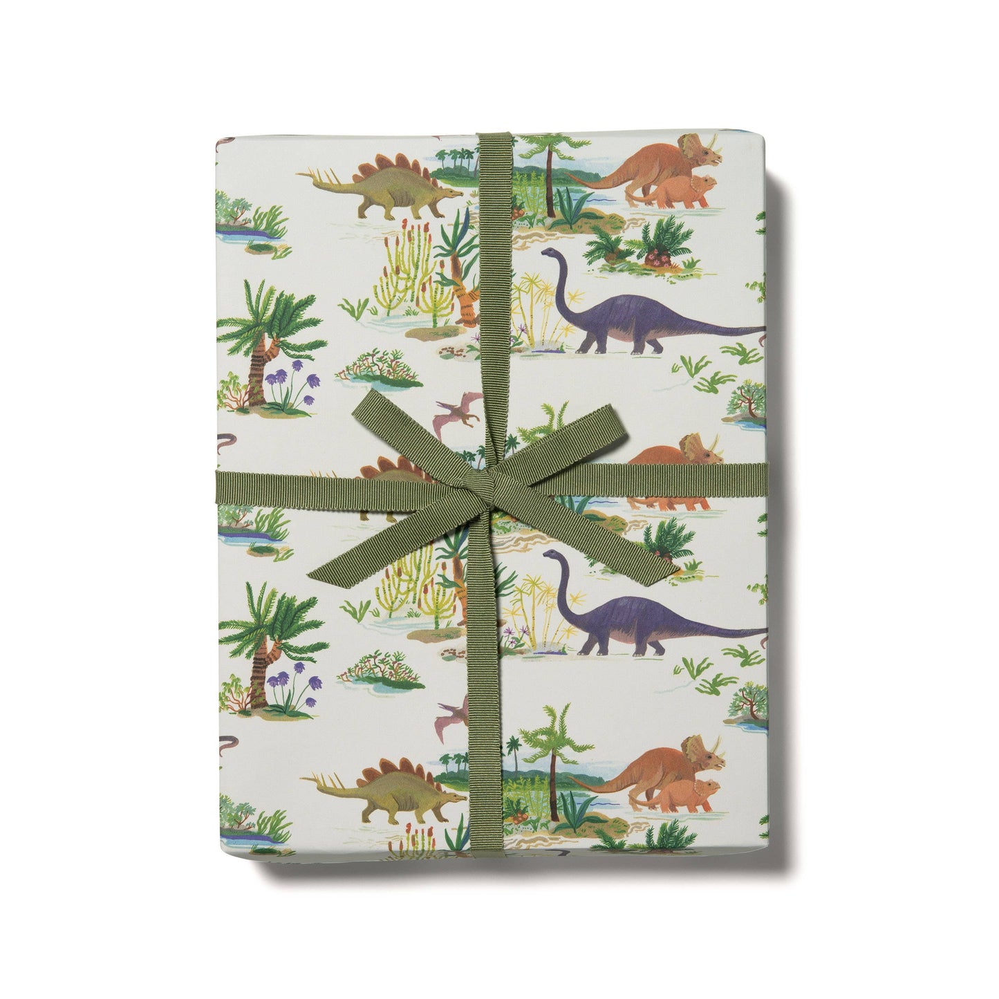 Dinosaurs wrapping paper