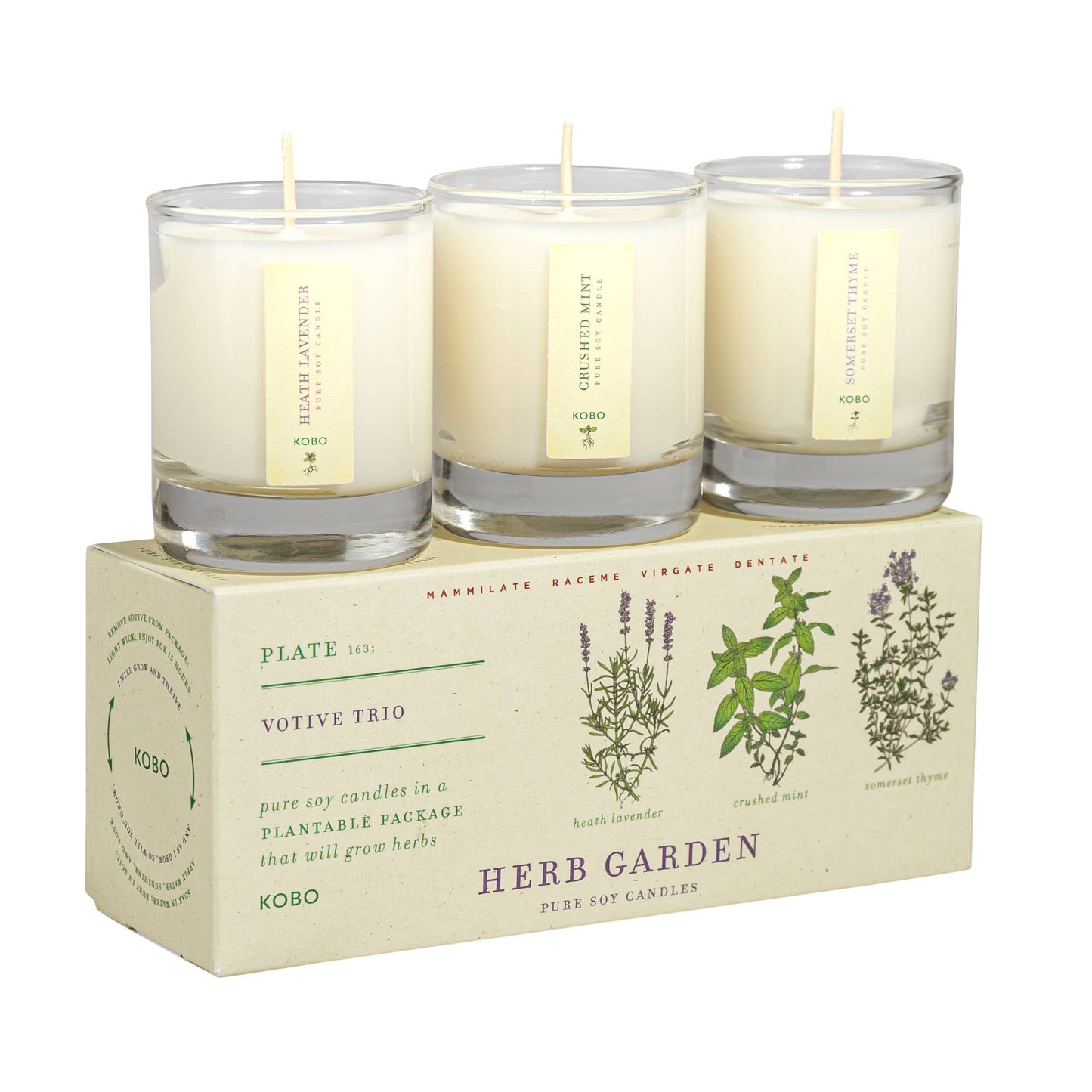 Herb Garden - Plant the Box Votive Candle Trio - 3