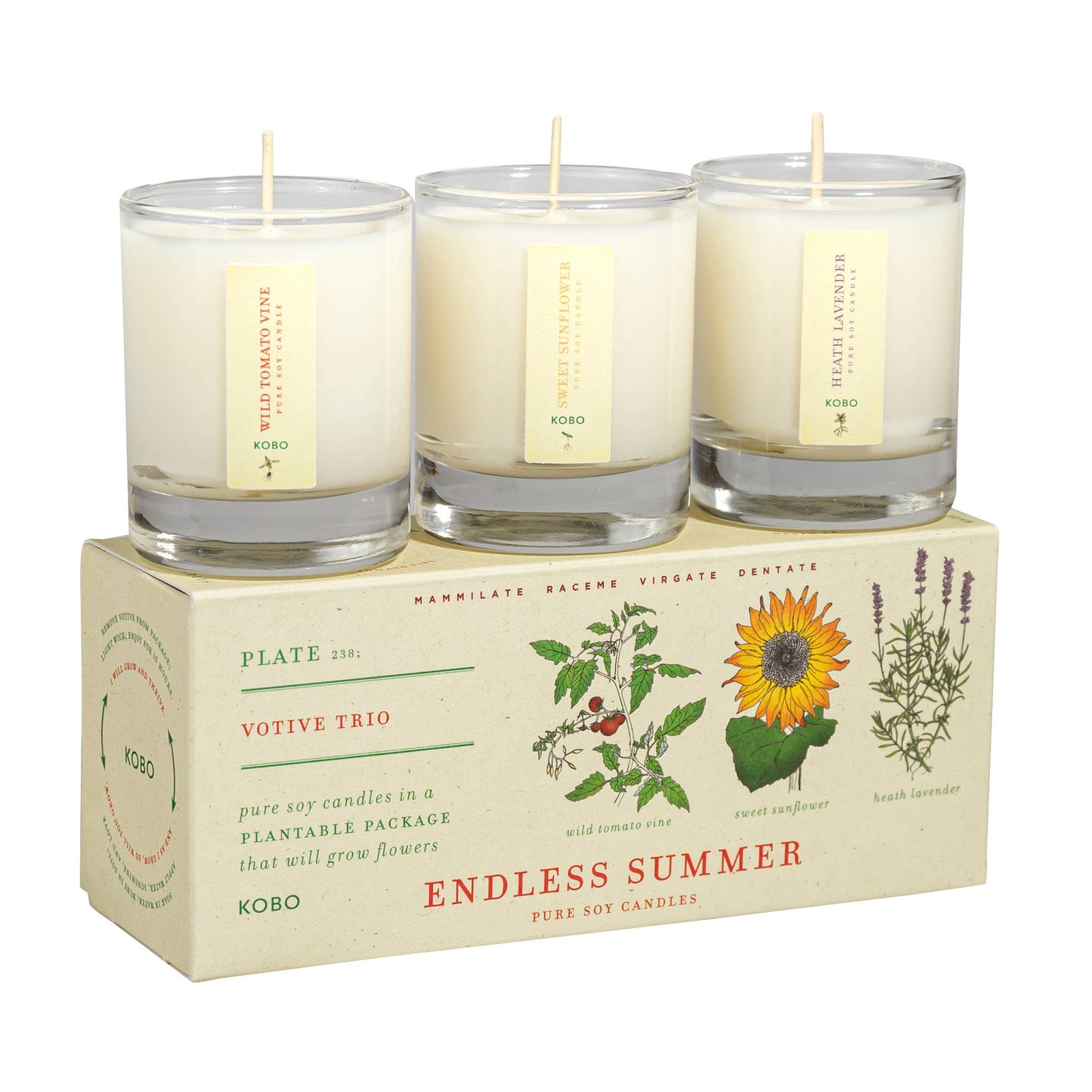 Endless Summer - Plant the Box Votive Candle Trio