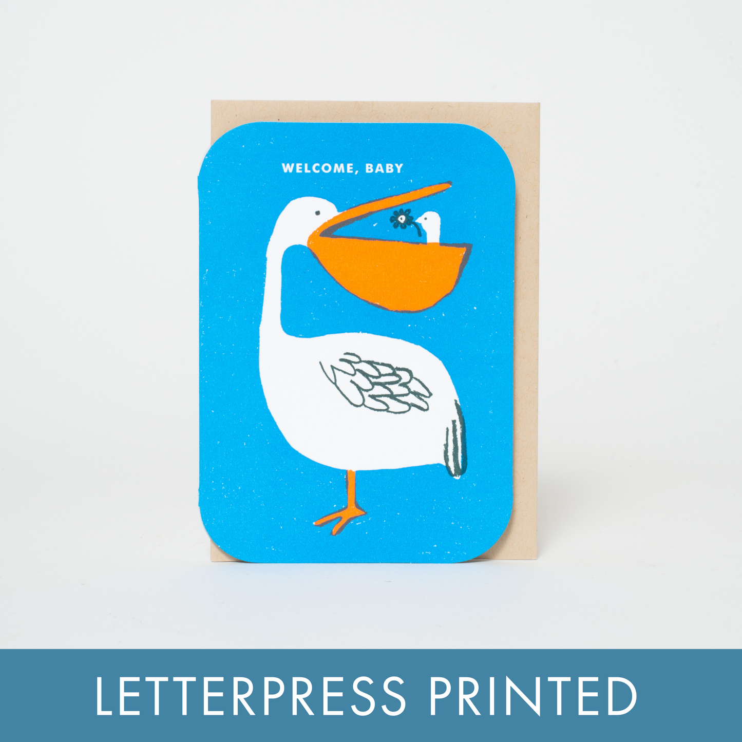 Baby Congrats Pelican Welcome Letterpress Greeting Card by Egg Press