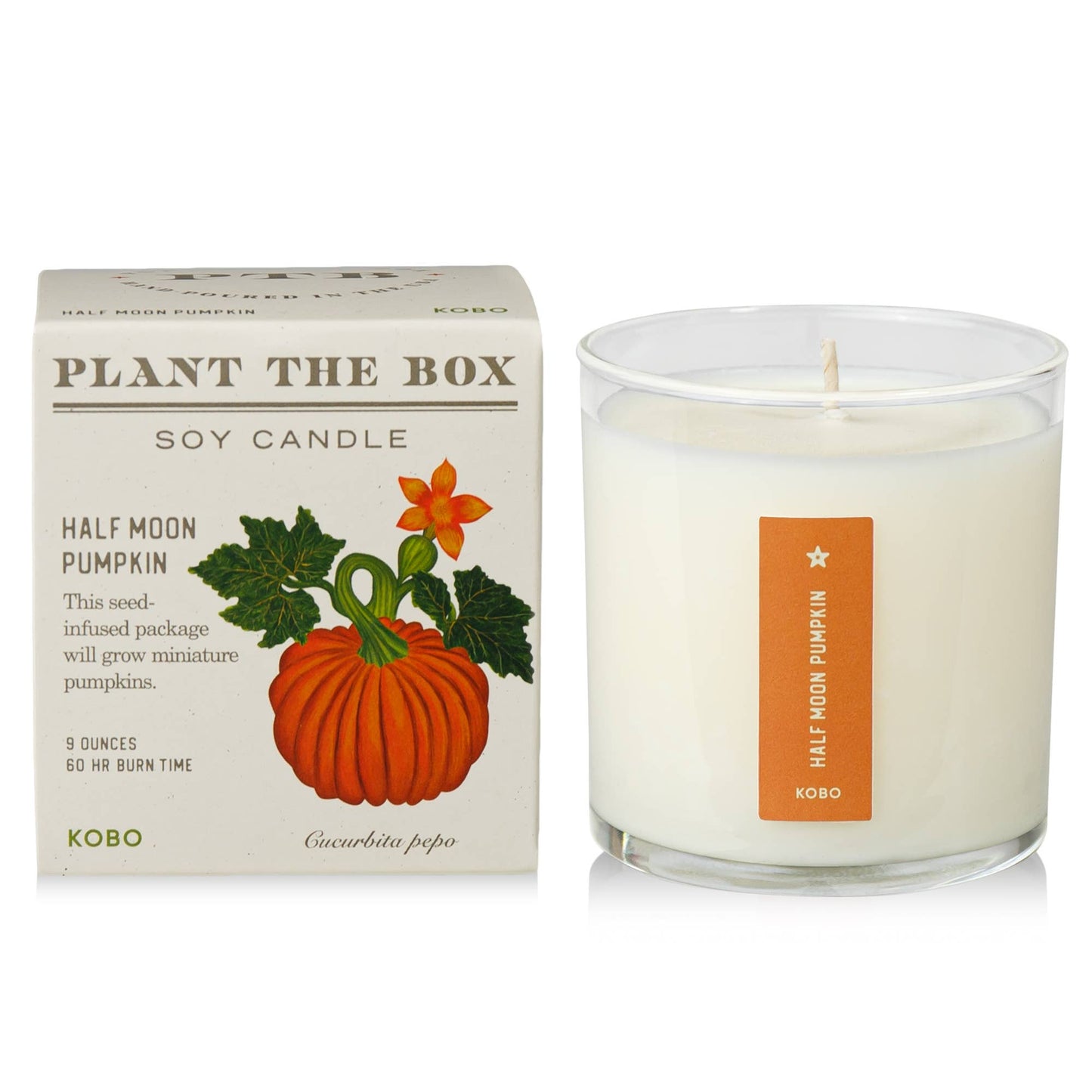 Half Moon Pumpkin - Plant the Box Candle - 9oz.