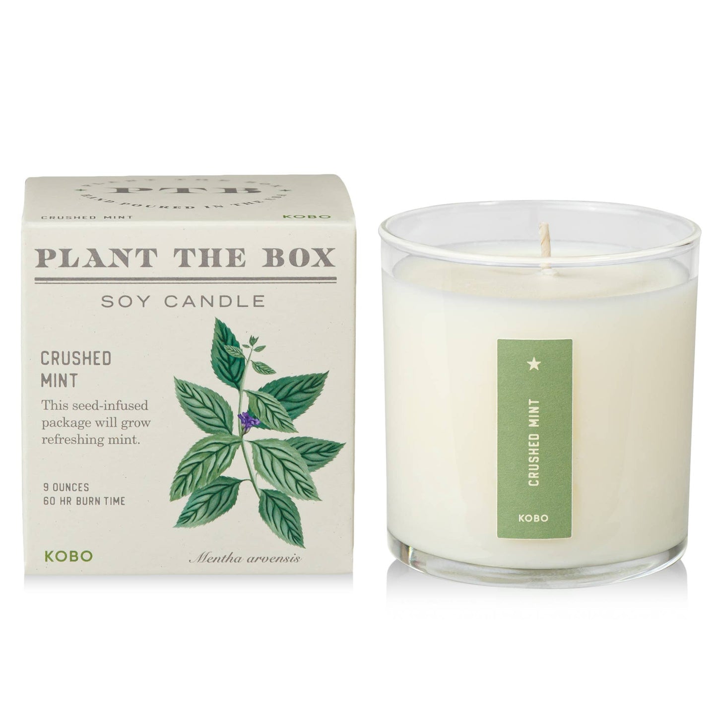 Crushed Mint - Plant the Box Candle - 9oz.