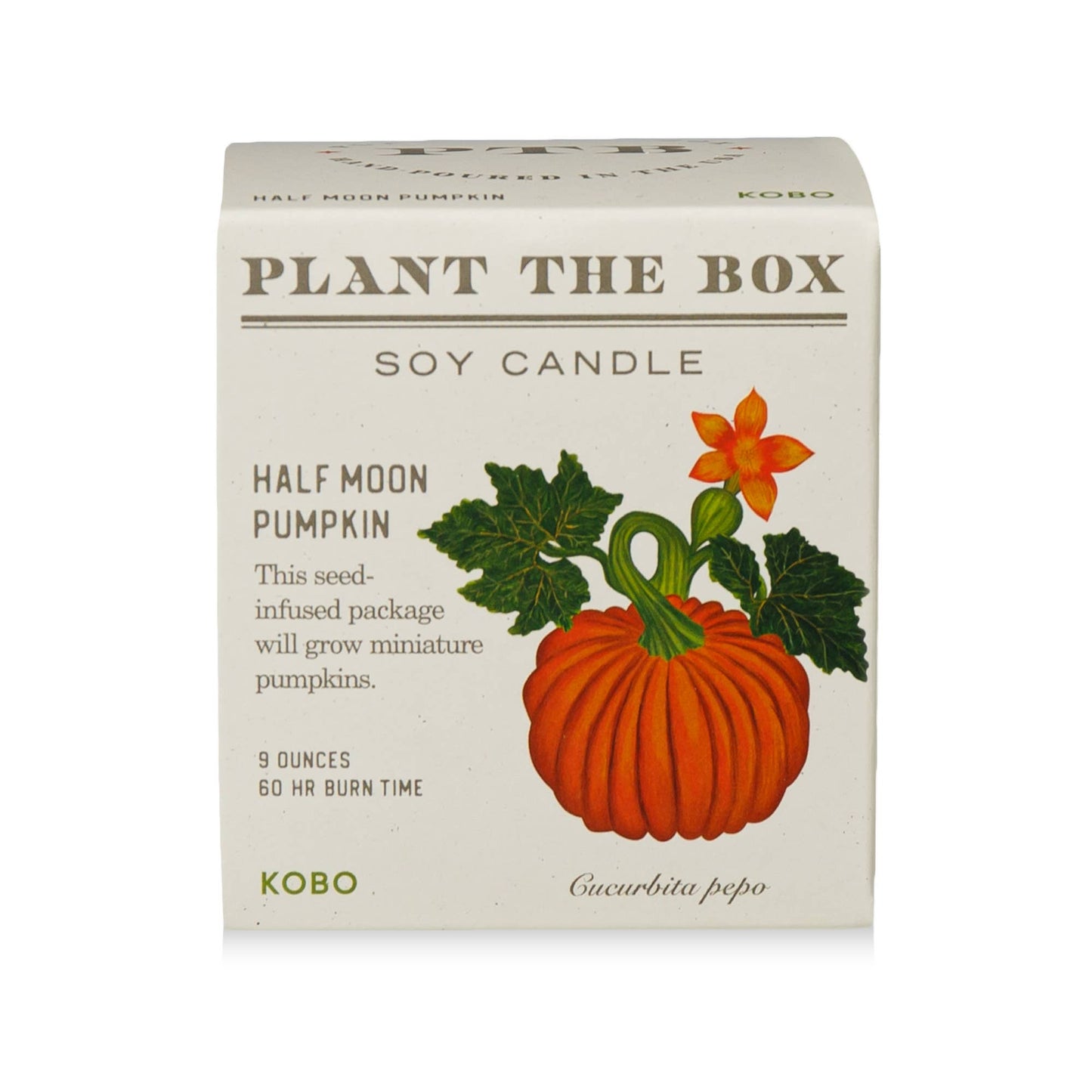 Half Moon Pumpkin - Plant the Box Candle - 9oz.