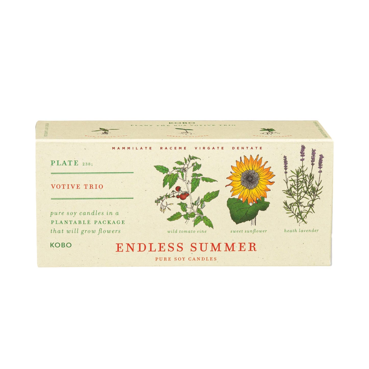 Endless Summer - Plant the Box Votive Candle Trio