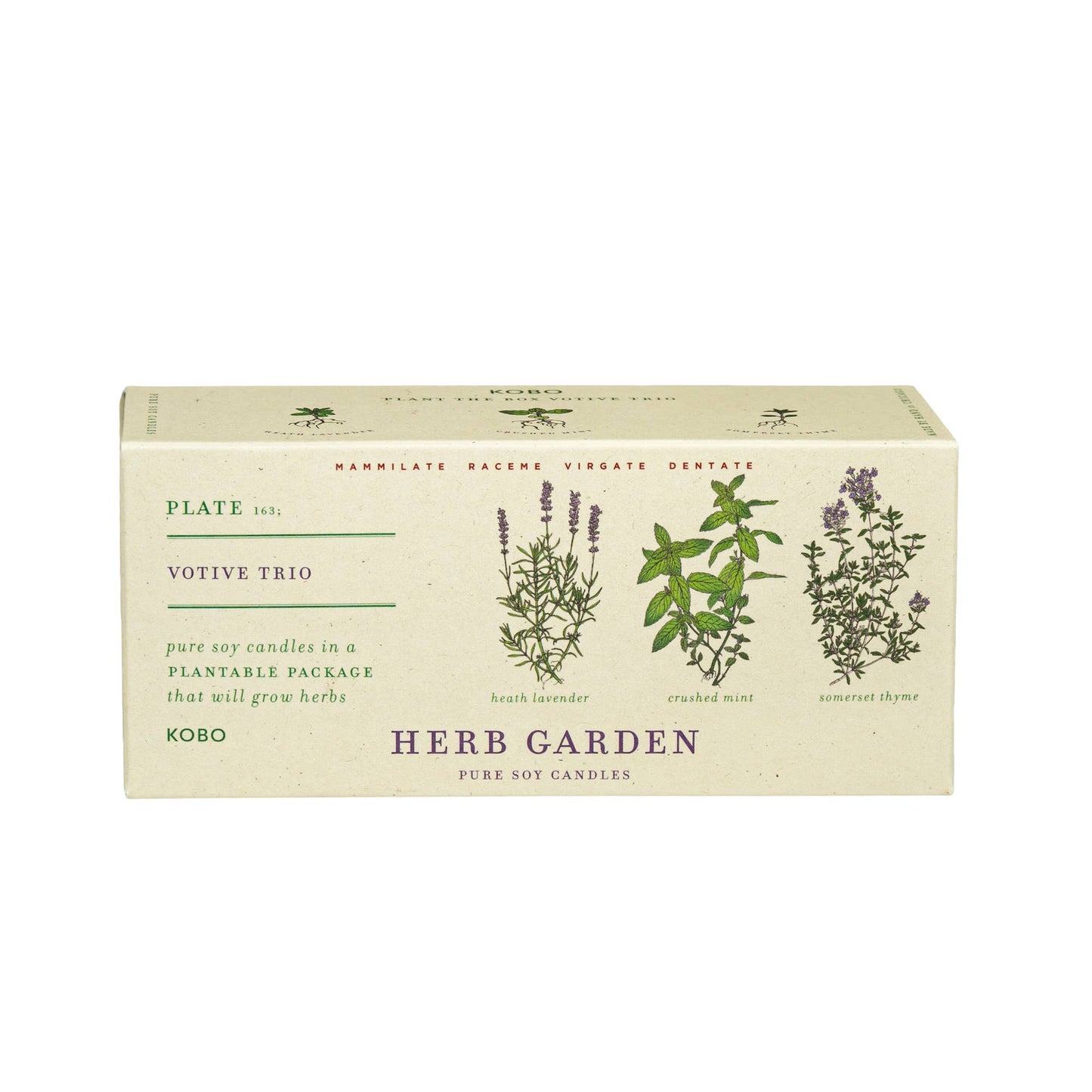 Herb Garden - Plant the Box Votive Candle Trio - 3