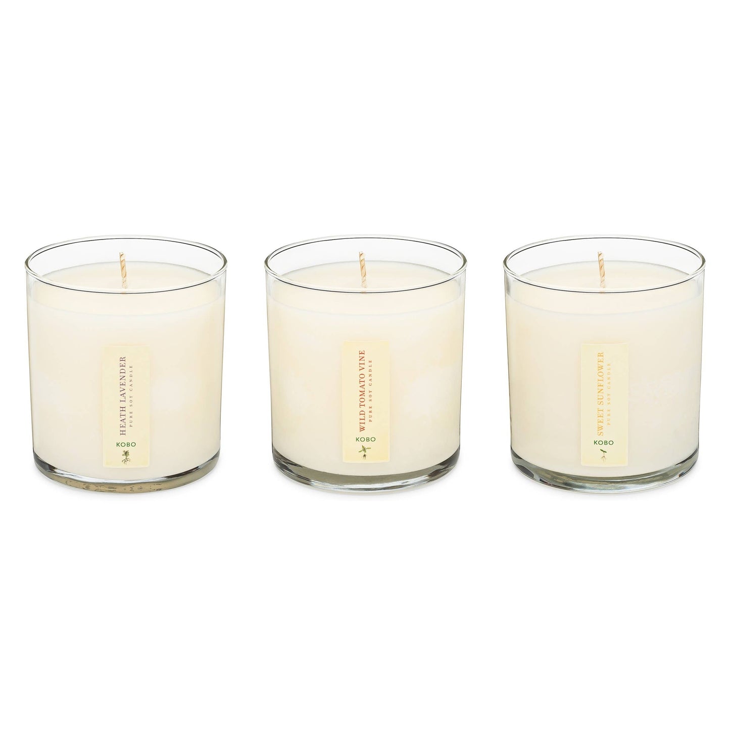 Endless Summer - Plant the Box Votive Candle Trio