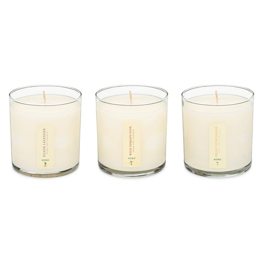 Endless Summer - Plant the Box Votive Candle Trio