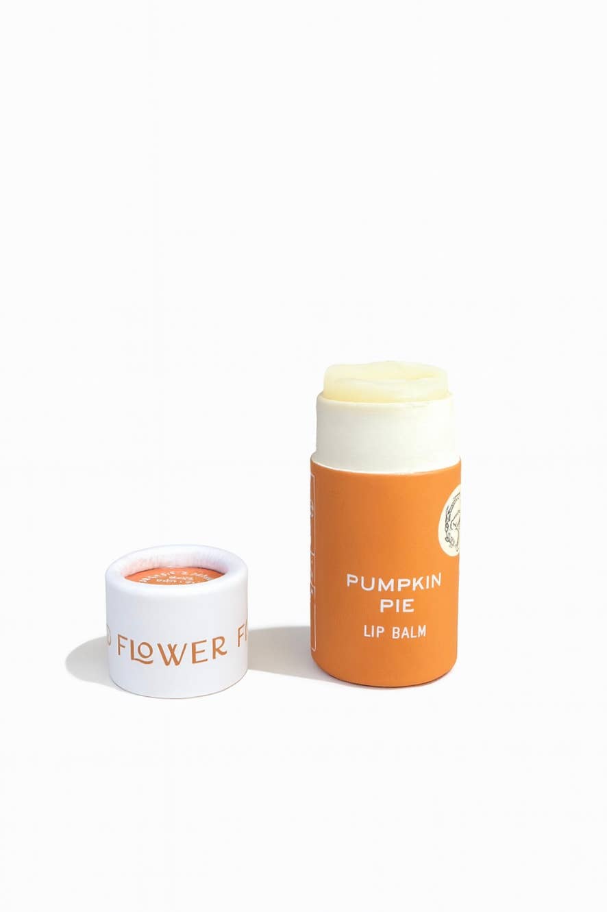 Pumpkin Pie Lip Balm in Eco Tube