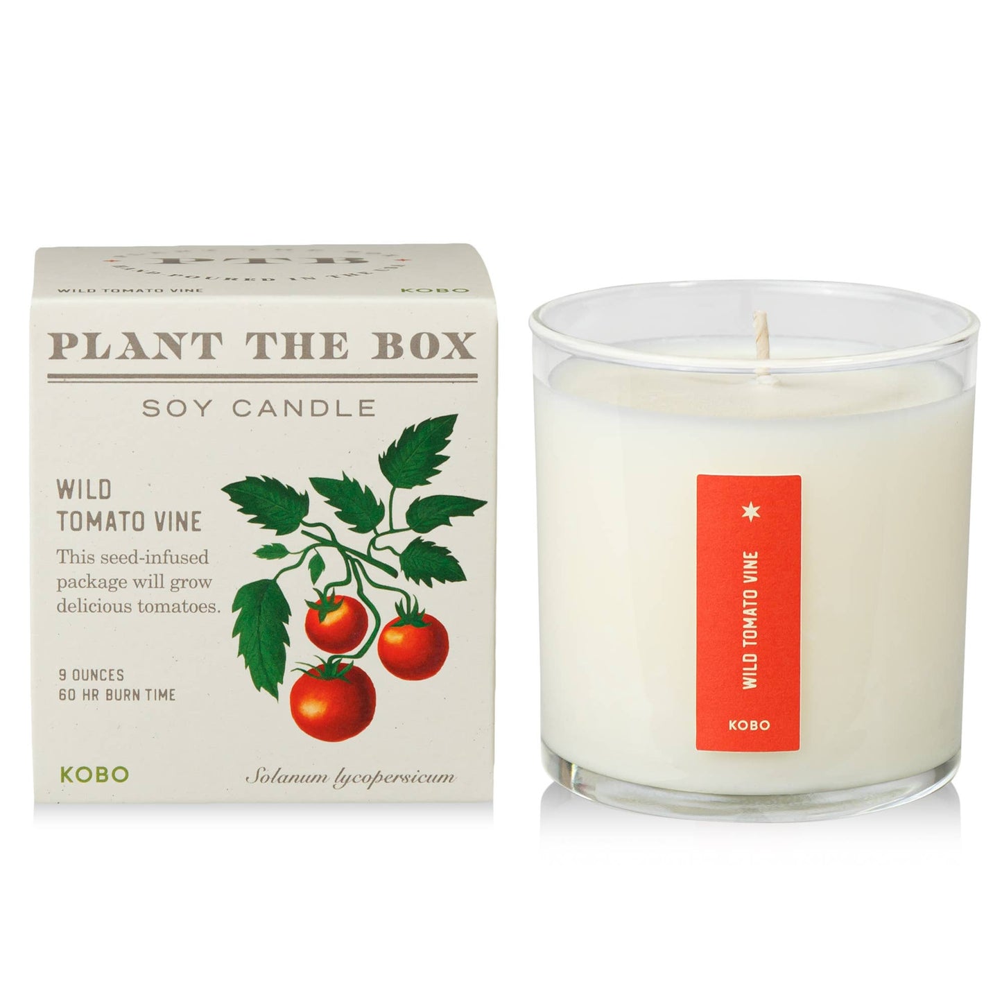 Wild Tomato Vine - Plant the Box Candle - 9oz.